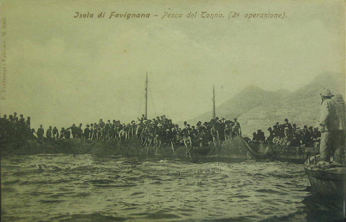 Straordinaria foto storica della pesca del tonno di Favignana (Trapani) - Sicilia