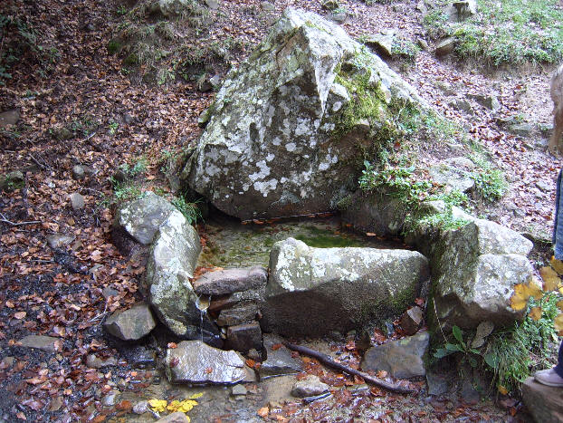 Parco dei Nebrodi - Fontana Balestra - Serra del Re - Comune di Longi (Messina Sicilia)