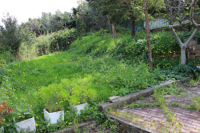 Caronia - Terreno attiguo all'abitazione in residence sul mare vendita CA01VF