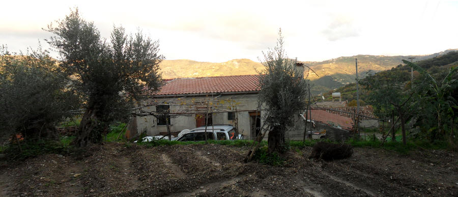 Foto 4 Casa con terreno vicino Rocca di Capri Leone (Mirto) MR02VF