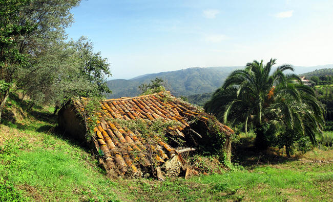 Terreno con rudere in vendita a Capri Leone